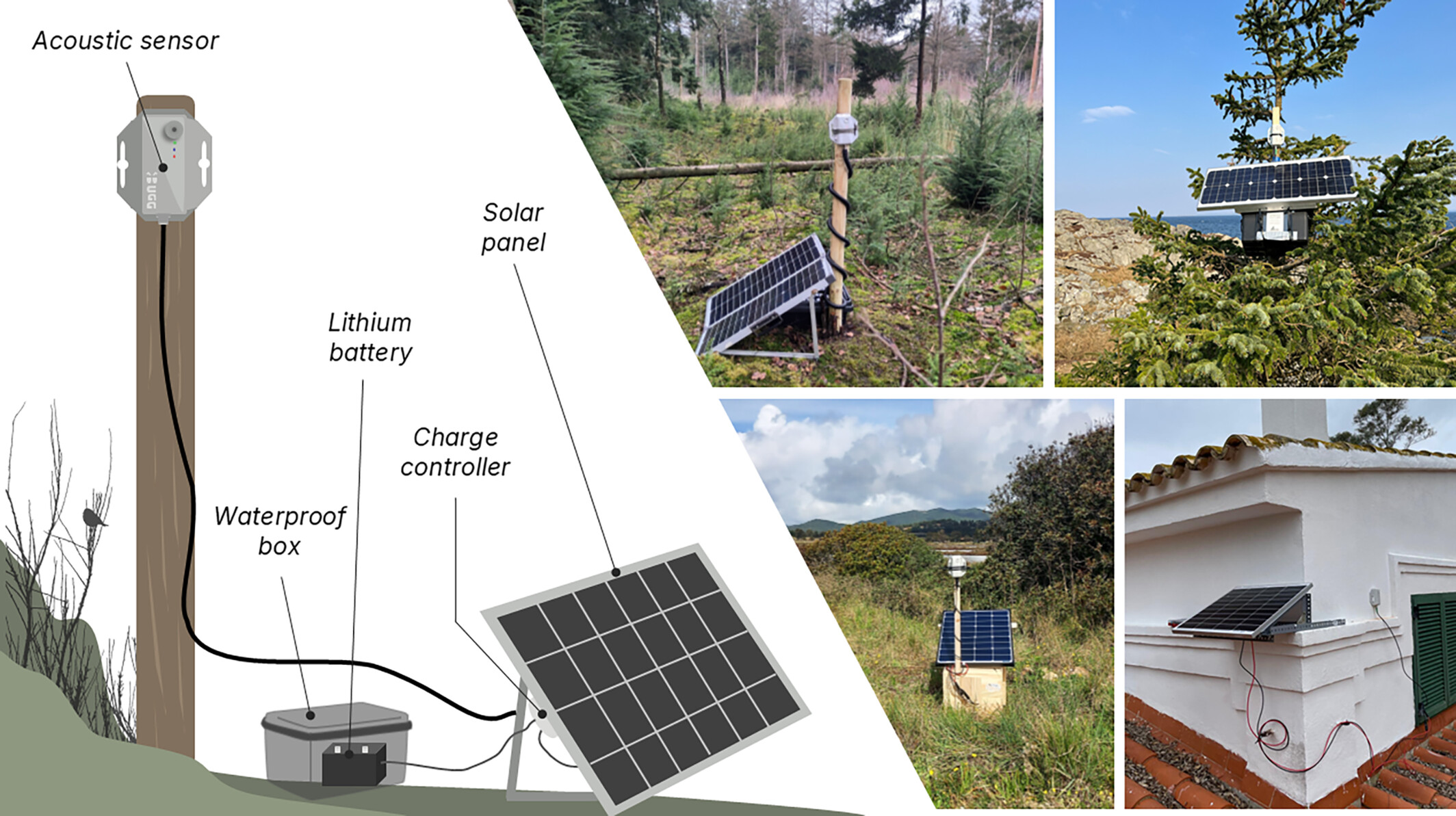 TABMON device setup โ Bugg acoustic sensors with solar panels deployed across European field sites
